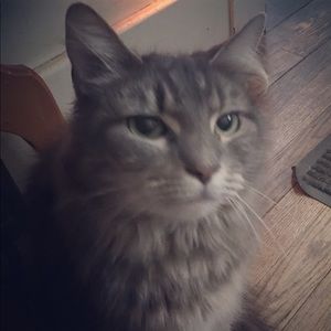 Meet your Posher, Jody